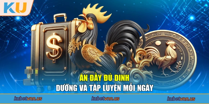 Ăn đầy đủ dinh dưỡng và tập luyện mỗi ngày