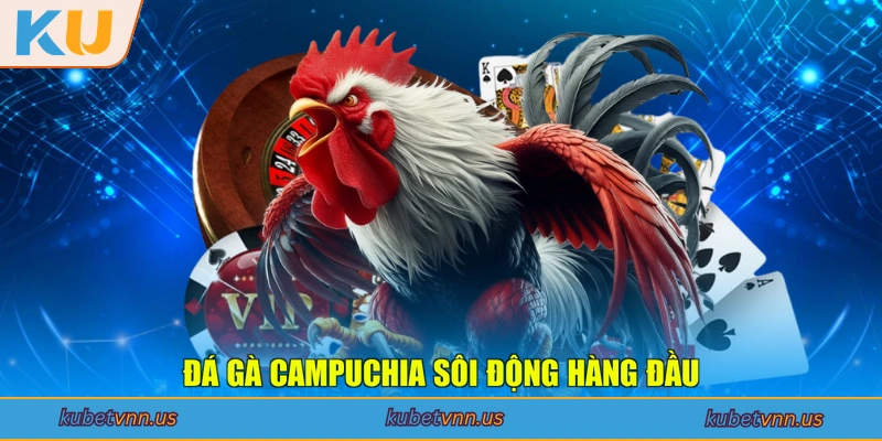 Đá gà Campuchia sôi động hàng đầu