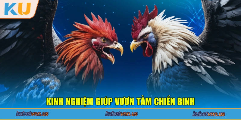Kinh nghiệm giúp vươn tầm chiến binh