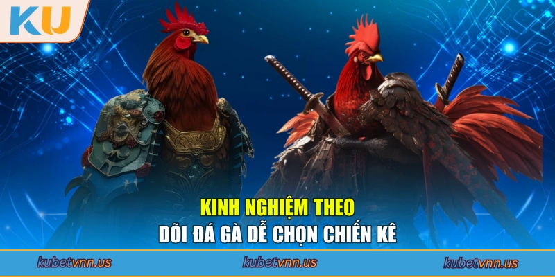 Kinh nghiệm theo dõi đá gà dễ chọn chiến kê