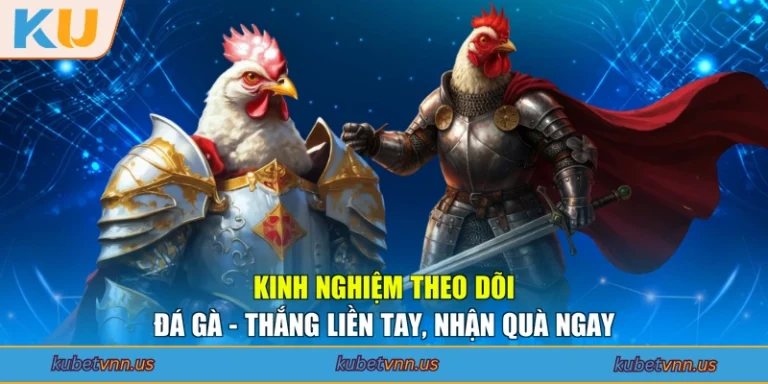 Kinh Nghiệm Theo Dõi Đá Gà - Thắng Liền Tay, Nhận Quà Ngay