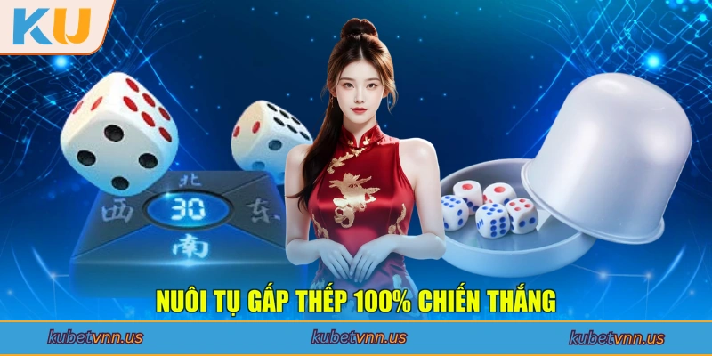 Nuôi tụ gấp thếp 100% chiến thắng
