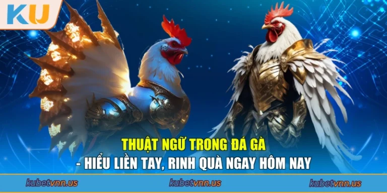 Thuật Ngữ Trong Đá Gà - Hiểu Liền Tay, Rinh Quà Ngay Hôm Nay