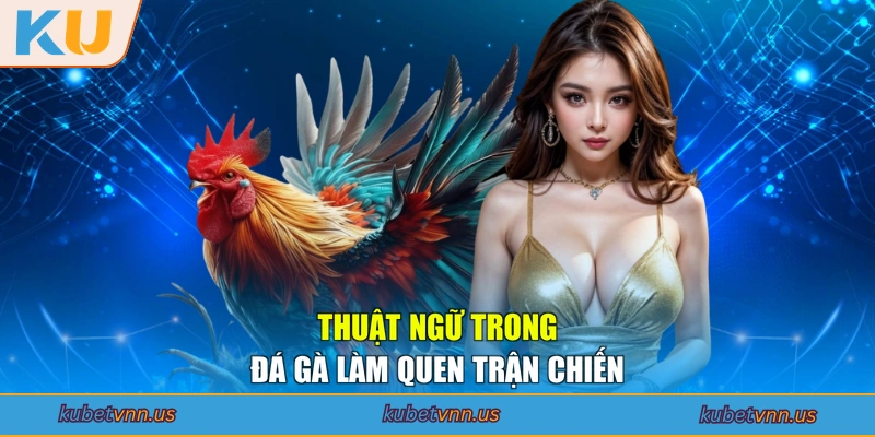 Thuật ngữ trong đá gà làm quen trận chiến